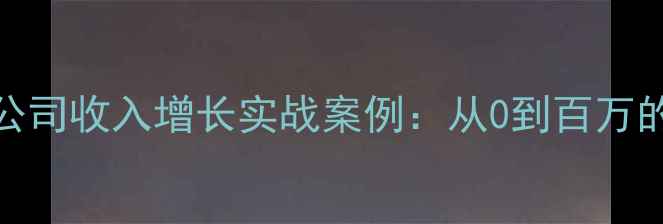 图片 乐器销售公司收入增长实战案例：从0到百万的6大策略2