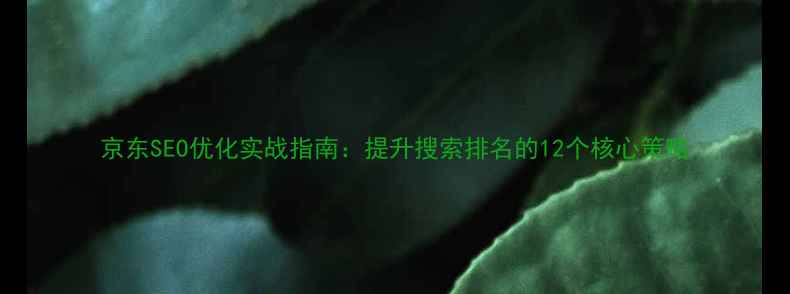 图片 京东SEO优化实战指南：提升搜索排名的12个核心策略