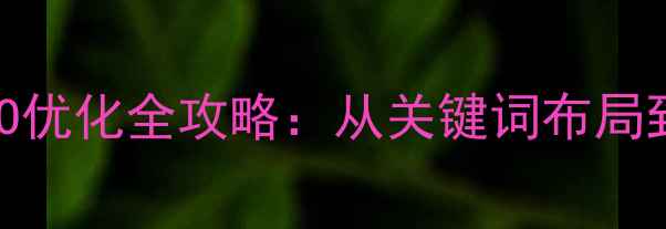 图片 代购网站百度SEO优化全攻略：从关键词布局到流量转化策略1