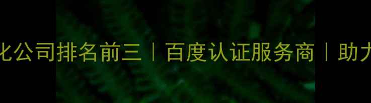 图片 企业网站SEO优化公司排名前三｜百度认证服务商｜助力企业流量翻倍2