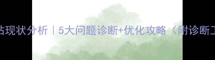 图片 企业网站现状分析｜5大问题诊断+优化攻略（附诊断工具）🔥