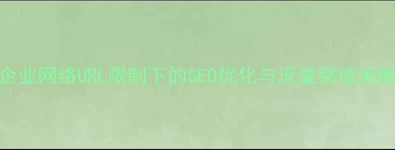 图片 企业网络URL限制下的SEO优化与流量突破策略