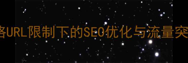 图片 企业网络URL限制下的SEO优化与流量突破策略2