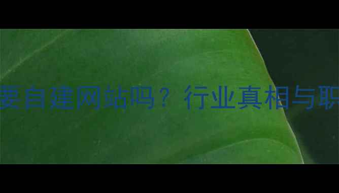 图片 优化人员需要自建网站吗？行业真相与职业发展路径