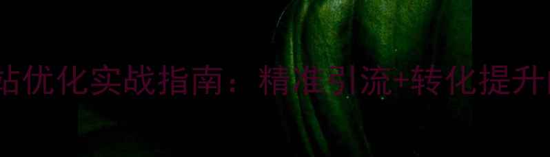 图片 优化后标题珠海网站优化实战指南：精准引流+转化提升的本地化运营策略2