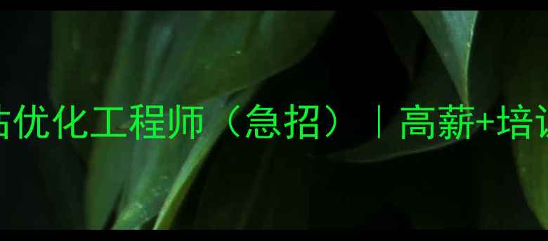 图片 优化后标题邵阳县招聘网站优化工程师（急招）｜高薪+培训+晋升｜邵阳SEO公司急聘