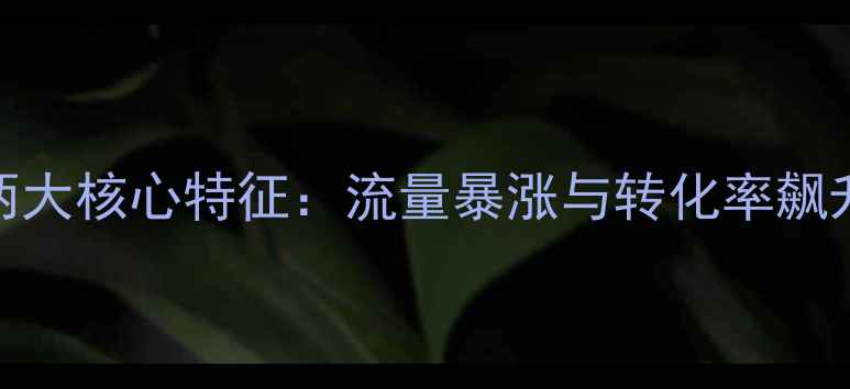 图片 优化后网站两大核心特征：流量暴涨与转化率飙升的底层逻辑