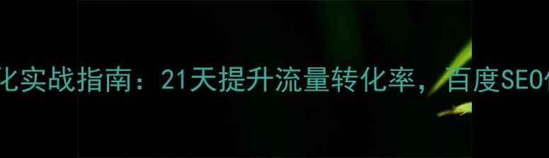 图片 优化标题网站优化实战指南：21天提升流量转化率，百度SEO优化秘籍大公开1