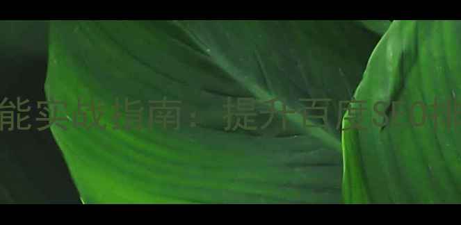 图片 优化网站搜索功能实战指南：提升百度SEO排名与用户转化率