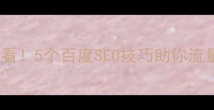 图片 传统行业网站优化必看！5个百度SEO技巧助你流量翻倍，附实战案例2