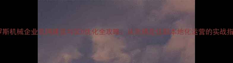 图片 俄罗斯机械企业官网建设与SEO优化全攻略：从市场定位到本地化运营的实战指南2
