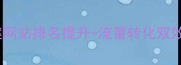 图片 全国SEO优化公司服务方案网站排名提升+流量转化双效合一1200天效果追踪保障