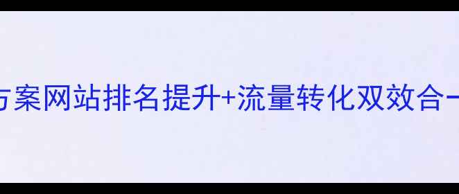 图片 全国SEO优化公司服务方案网站排名提升+流量转化双效合一1200天效果追踪保障1