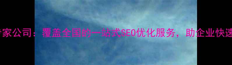 图片 全国网站优化专家公司：覆盖全国的一站式SEO优化服务，助企业快速提升搜索排名2