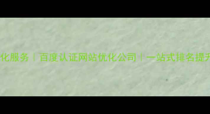 图片 全网优化服务｜百度认证网站优化公司｜一站式排名提升方案2