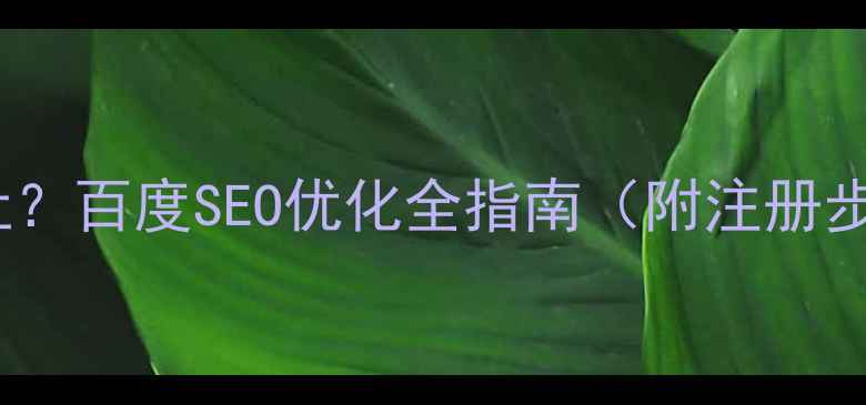 图片 公司如何注册网址？百度SEO优化全指南（附注册步骤与避坑技巧）2