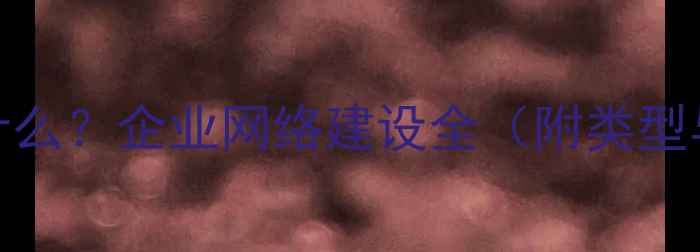 图片 公司网络是什么？企业网络建设全（附类型与搭建指南）
