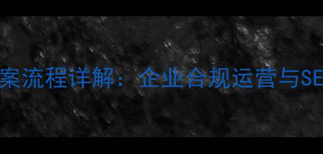 图片 公司自建服务器备案流程详解：企业合规运营与SEO优化的双重保障2