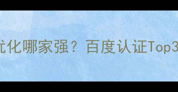 图片 冠县网站优化哪家强？百度认证Top3服务商全2