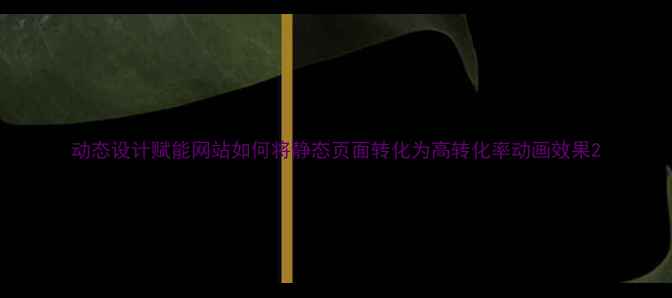 图片 动态设计赋能网站如何将静态页面转化为高转化率动画效果2