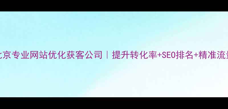 图片 北京专业网站优化获客公司｜提升转化率+SEO排名+精准流量