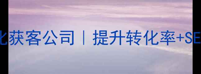 图片 北京专业网站优化获客公司｜提升转化率+SEO排名+精准流量1