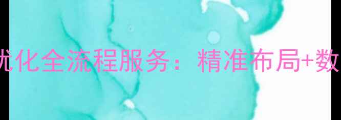 图片 北京南宫SEO网站优化全流程服务：精准布局+数据监控+效果保障2