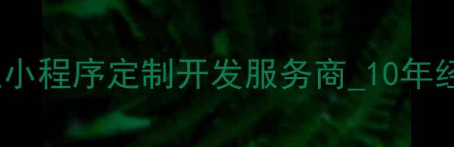 图片 北京小程序外包开发公司_专业小程序定制开发服务商_10年经验小程序开发服务报价与案例