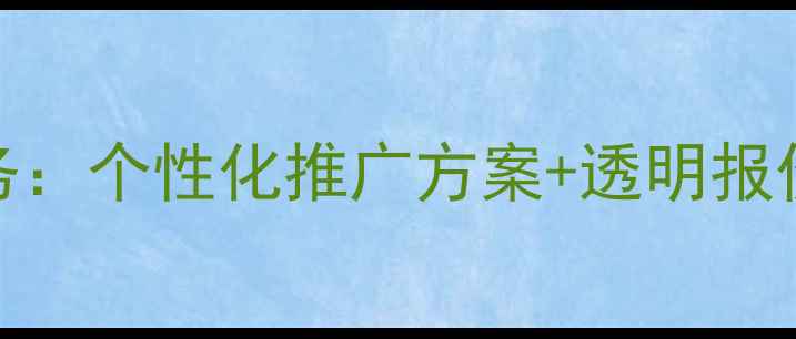 图片 北京网站SEO优化全流程服务：个性化推广方案+透明报价体系（附最新收费标准）1