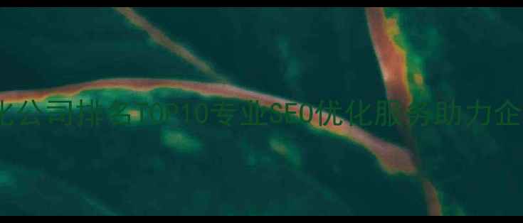 图片 北京网站优化公司排名TOP10专业SEO优化服务助力企业流量增长2