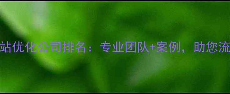 图片 北京网站优化公司排名：专业团队+案例，助您流量翻倍