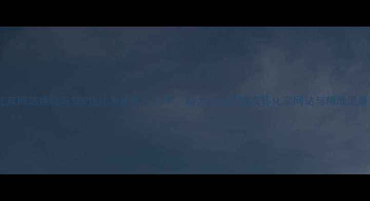 图片 北京网站建设与SEO优化专家专注10年，助力企业打造高转化率网站与精准流量1