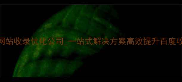 图片 北京网站收录优化公司_一站式解决方案高效提升百度收录率