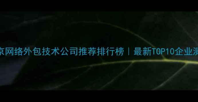 图片 北京网络外包技术公司推荐排行榜｜最新TOP10企业测评