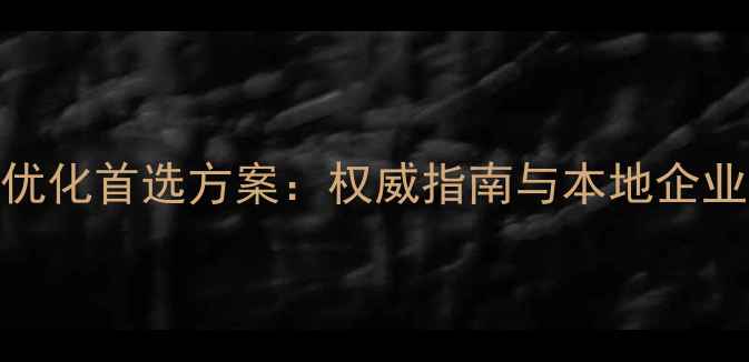 图片 南乐地区网站优化首选方案：权威指南与本地企业实操经验分享