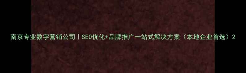 图片 南京专业数字营销公司｜SEO优化+品牌推广一站式解决方案（本地企业首选）2