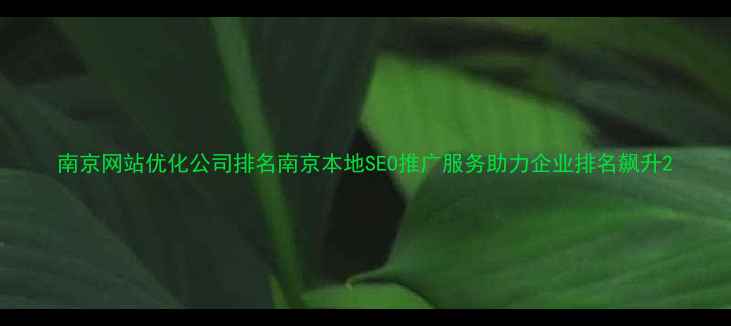 图片 南京网站优化公司排名南京本地SEO推广服务助力企业排名飙升2