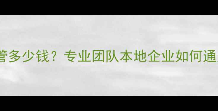 图片 厦门网站优化托管多少钱？专业团队本地企业如何通过SEO提升转化率