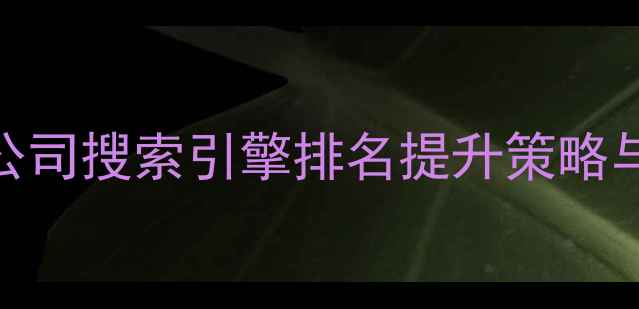 图片 台州网站优化服务公司搜索引擎排名提升策略与本地SEO实战指南1