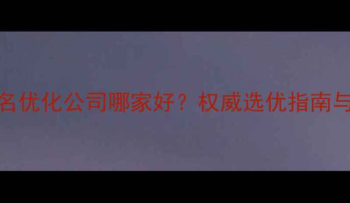 图片 合肥SEO排名优化公司哪家好？权威选优指南与实战策略2