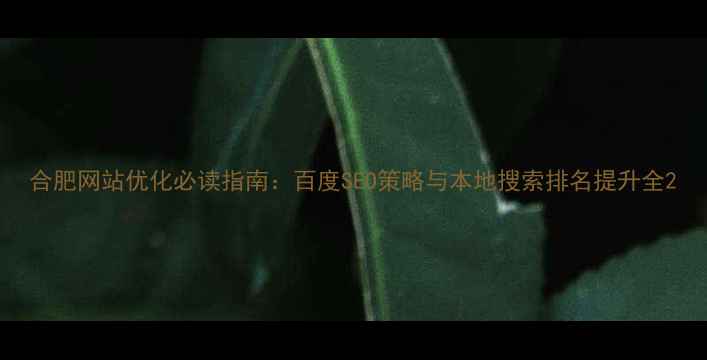 图片 合肥网站优化必读指南：百度SEO策略与本地搜索排名提升全2