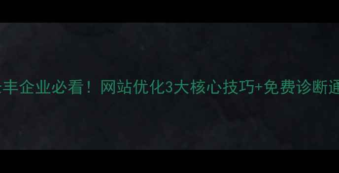图片 合肥长丰企业必看！网站优化3大核心技巧+免费诊断通道🔥2