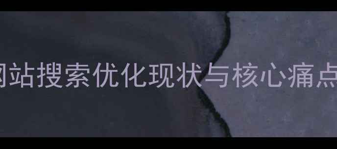 图片 同类网站搜索优化现状与核心痛点分析1