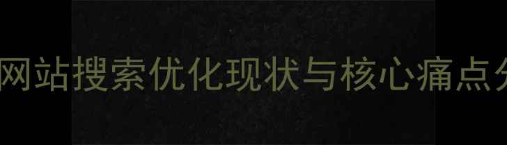 图片 同类网站搜索优化现状与核心痛点分析2