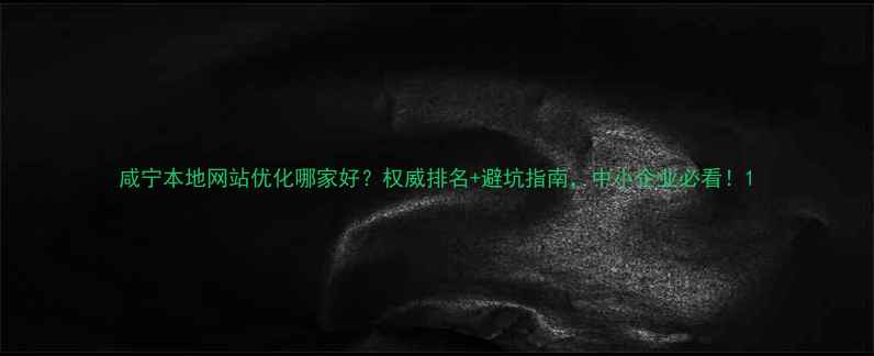 图片 咸宁本地网站优化哪家好？权威排名+避坑指南，中小企业必看！1