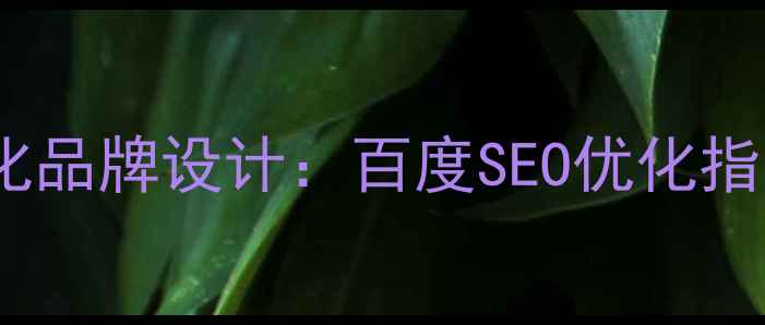 图片 四步打造高转化品牌设计：百度SEO优化指南与实战案例2