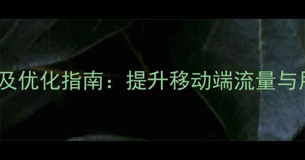 图片 国内响应式网站推荐及优化指南：提升移动端流量与用户体验的实战策略2