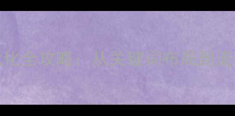 图片 地名测试网站SEO优化全攻略：从关键词布局到流量增长的核心策略1