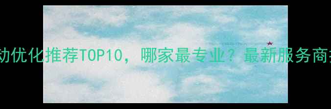 图片 坪地地区网站自动优化推荐TOP10，哪家最专业？最新服务商排名及避坑指南2