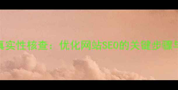 图片 备案信息真实性核查：优化网站SEO的关键步骤与避坑指南